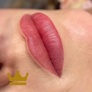 PMU Perfect Lips Masterclass<BR> 14/02